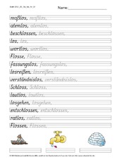 DSS_2S_Bu_los_Nr_01.pdf